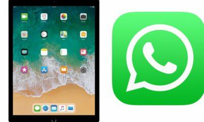 whatsApp beta includes native iPad support