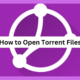 Open Torrent files