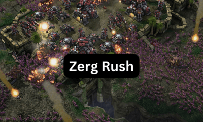 Zerg Rush